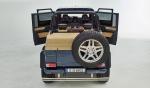Mercedes-Maybach G650 Landaulet 2017 года (WW)